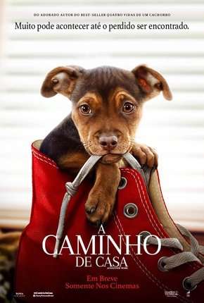 A Caminho de Casa - A Dogs Way Home Torrent Download Mais Baixado