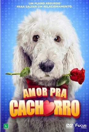 Amor Pra Cachorro Torrent Download Mais Baixado