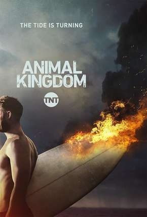 Animal Kingdom - 2ª Temporada Completa