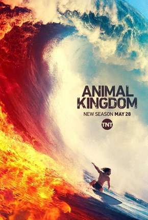 Animal Kingdom - 4ª Temporada Legendada Torrent Download Mais Baixado