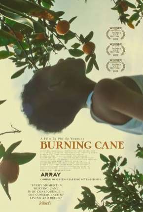 Burning Cane - Legendado