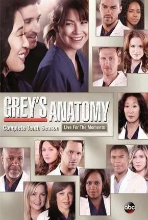 Greys Anatomy - 10ª Temporada - Completa