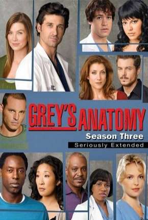 Greys Anatomy - 3ª Temporada - Completa Torrent Download Mais Baixado