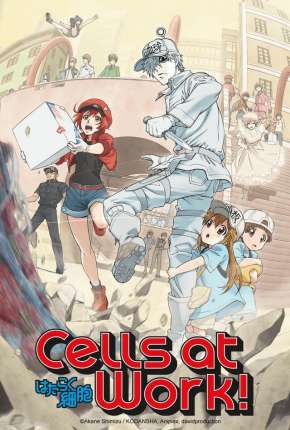 Hataraku Saibou - Cells at Work Torrent Download Mais Baixado