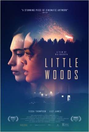 Little Woods - Legendado Torrent Download Mais Baixado