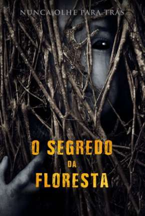 O Segredo da Floresta - Legendado Torrent Download Mais Baixado