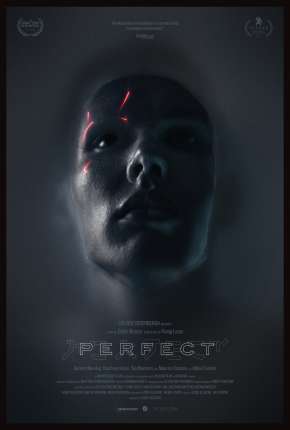 Perfect - Legendado Torrent Download Mais Baixado