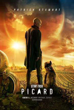 Star Trek - Picard - 1ª Temporada Torrent Download Mais Baixado