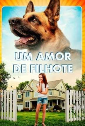 Um Amor de Filhote Torrent Download Mais Baixado