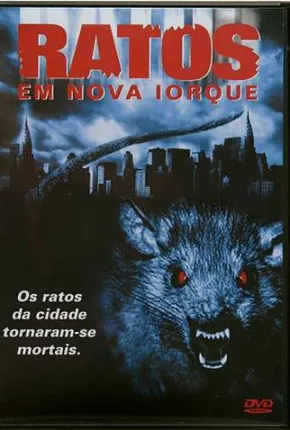 Ratos em Nova Iorque  Download Mais Baixado