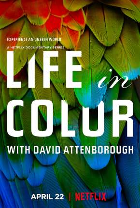 A Vida em Cores com David Attenborough - 1ª Temporada Completa Torrent Download Mais Baixado