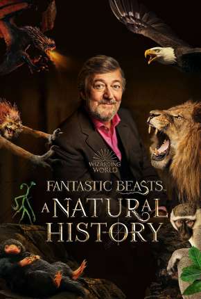 Animais Fantásticos - Uma História Natural Torrent Download Mais Baixado