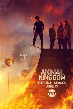 Animal Kingdom - 5ª Temporada Legendada Torrent Download Mais Baixado