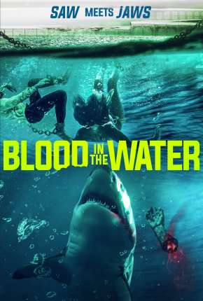 Blood in the Water - Legendado