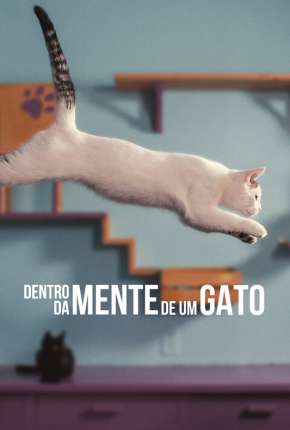 Dentro da Mente de um Gato - Legendado Torrent Download Mais Baixado