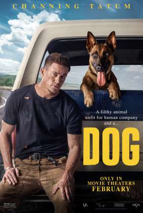 Dog - A Aventura de Uma Vida Torrent Download Mais Baixado