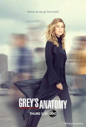 Greys Anatomy - 19ª Temporada Legendada