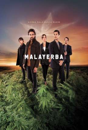 MalaYerba - 1ª Temporada Torrent Download Mais Baixado