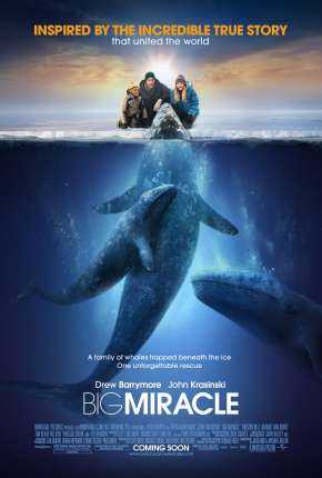 O Grande Milagre - Big Miracle Torrent Download Mais Baixado