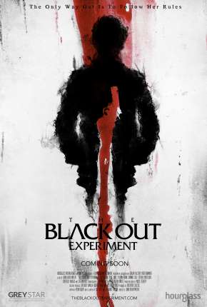 The Blackout Experiment - Legendado