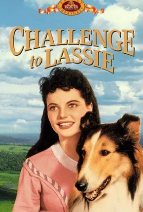 Desafio de Lassie