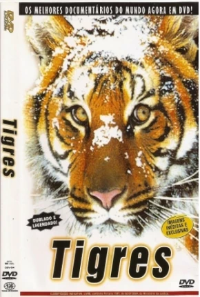 Tigres / Na Sombra do Tigre