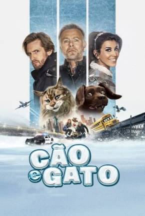 Cão e Gato Torrent Download Mais Baixado