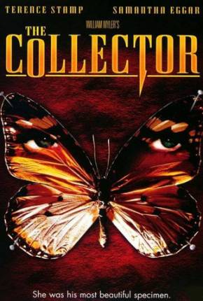 O Colecionador / The Collector  Download Mais Baixado