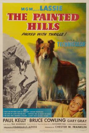 Lassie - Heróis da Montanha